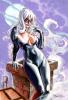 Black Cat Commissioned pin-up